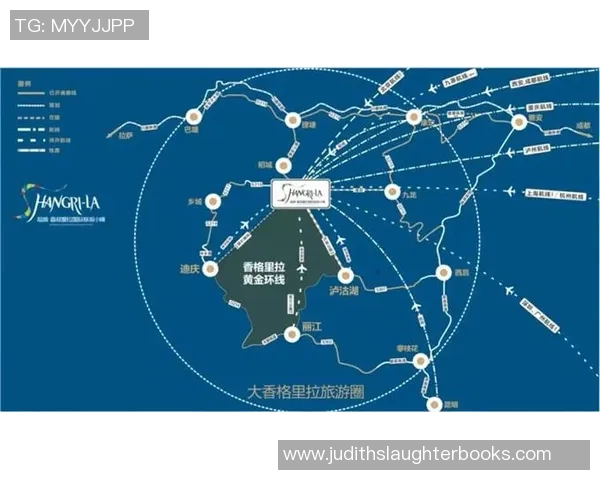 独家分析：杭州乒乓球队的个人能力对比