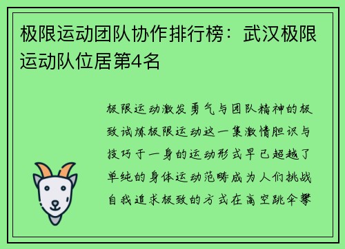 极限运动团队协作排行榜：武汉极限运动队位居第4名