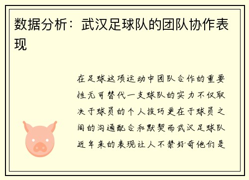 数据分析：武汉足球队的团队协作表现